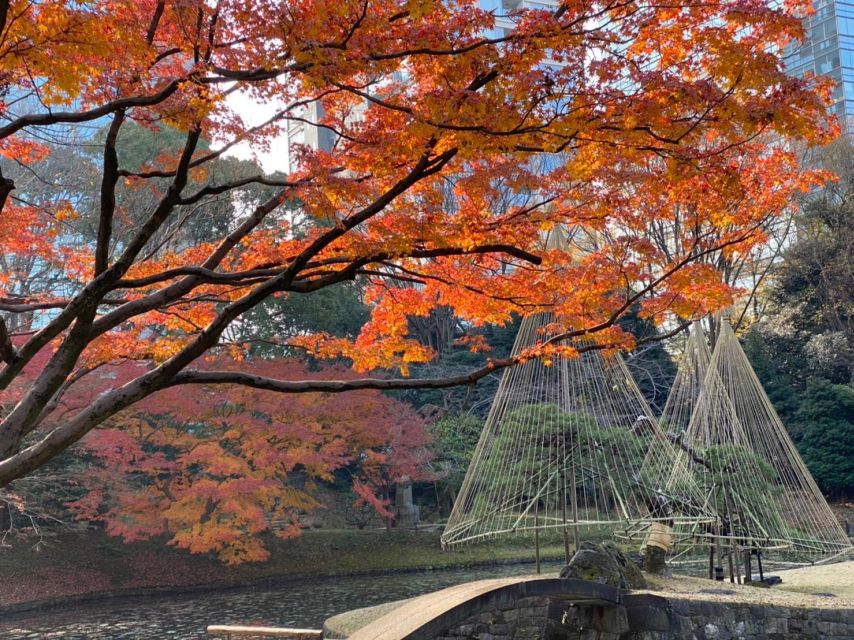 Tokyo: Full Day Tour, Private Guide&Customizable Itinerary - Highlights of the Tour