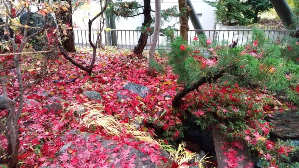 Flexible One-day English Speaking Guide - Booking Details and Pricing Information