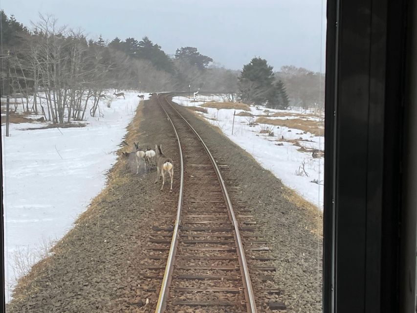 Flexible One-day English Speaking Guide - Frequently Asked Questions