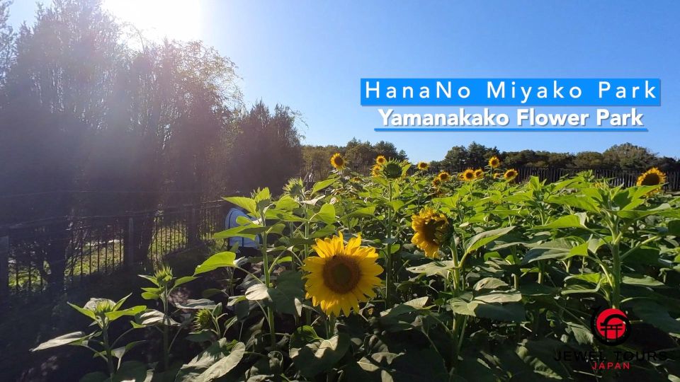 Fuji Yamanaka Lake. Oshino Hakkai and Local Noodles - Tasting the Local Noodles