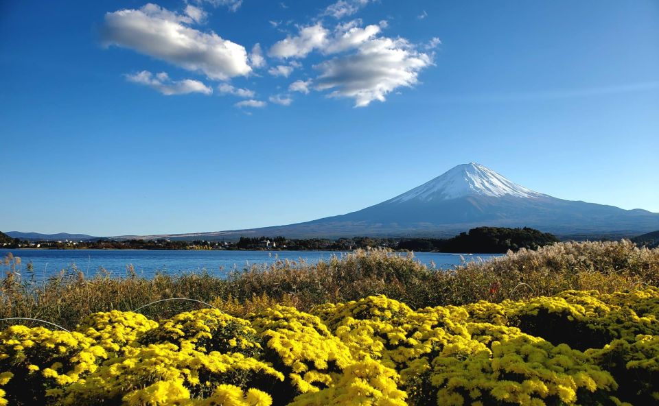 Mount Fuji Personalized Private Tour W/English Guide - Live Tour Guide