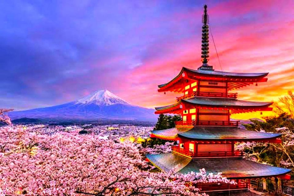 Private Guided Sightseeing Tour in Mount Fuji and Hakone - Tour Details and Logistics