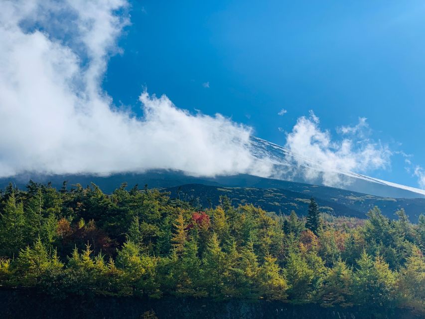 Private Guided Sightseeing Tour in Mount Fuji and Hakone - Additional Information