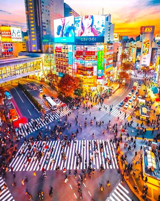 1 Day Private Charter Tokyo Sightseeing Tour With Guide - Frequently Asked Questions