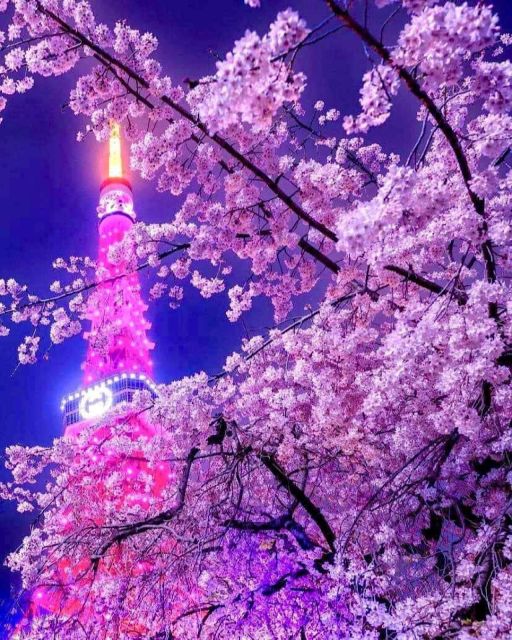 1 Day Private Charter Tokyo Sightseeing Tour With Guide - Tour Highlights