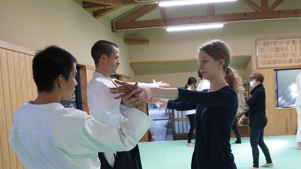 What Is Aikido? (An Introduction to the Japanese Martial Art - Techniques and Training in Aikido