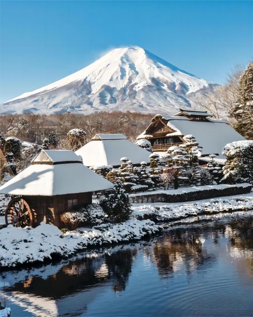 Tokyo to Mt. Fuji & Hakone Expert English Guide Private Tour - Tour Highlights