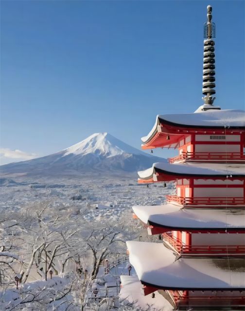 Tokyo to Mt. Fuji & Hakone Expert English Guide Private Tour - End of the Tour