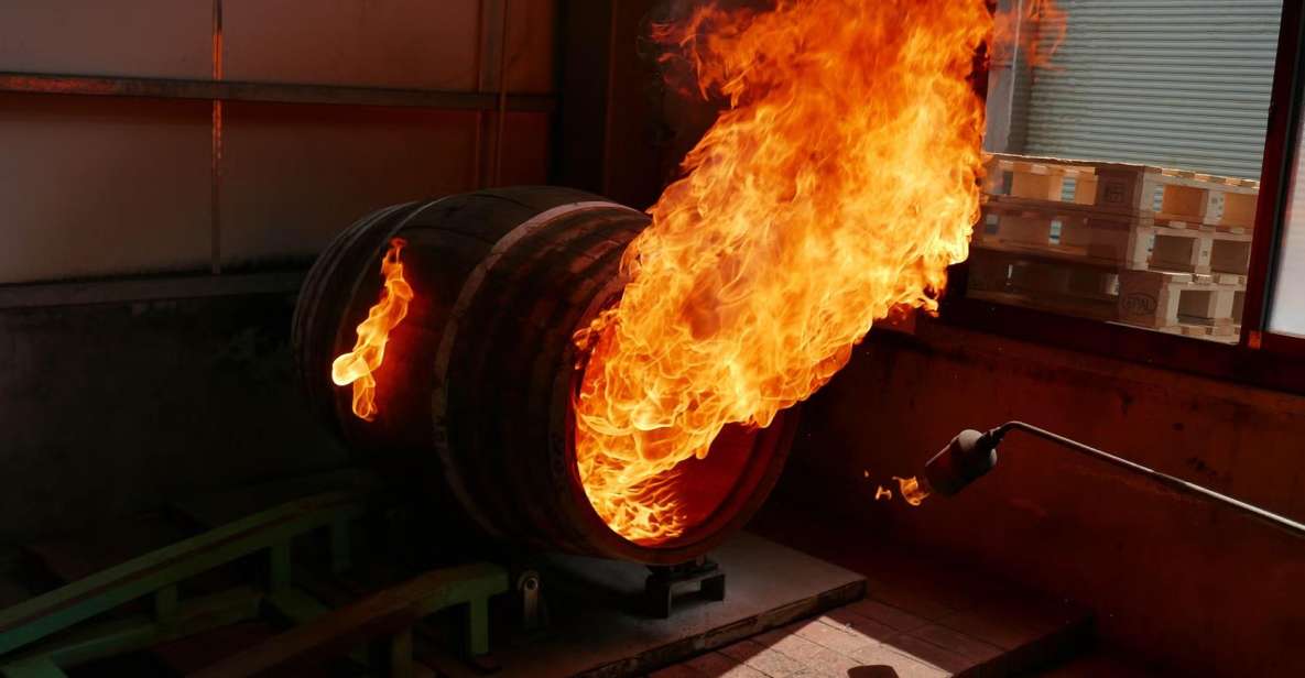 FIRE & SMOKE GASTRONOMY TOUR in Nansatsu & Makurazaki, Kagos - Tour Highlights