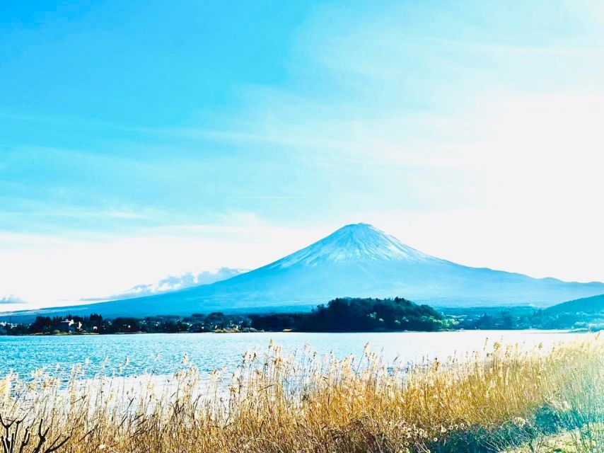 Mt.Fuji Day Tour:Oshino Hakkai,Kawaguchi Lake From Tokyo - Activity Details