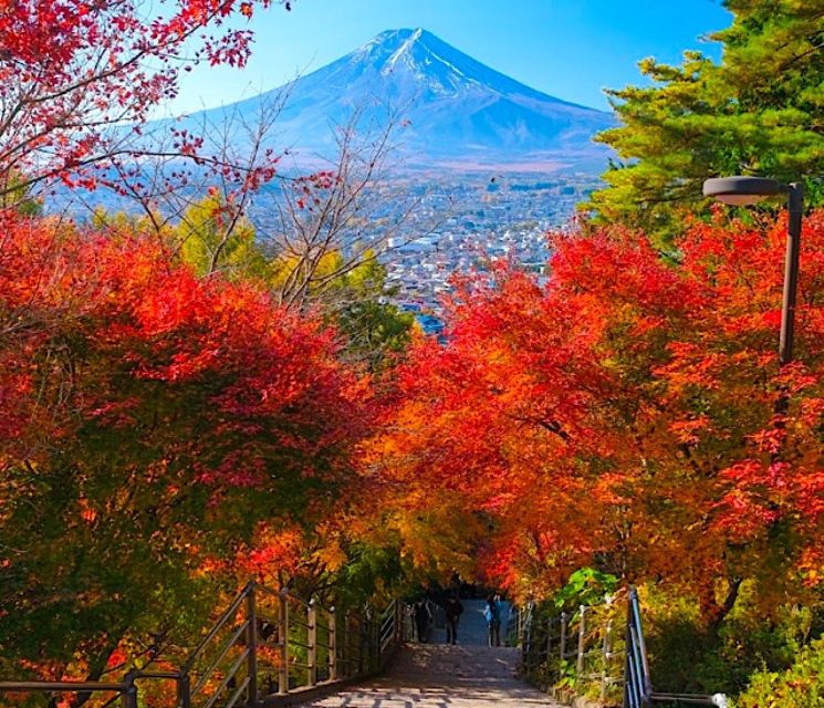 2-Days Private Tour Tokyo MT Fuji and Hakone With Guide - Duration and Schedule