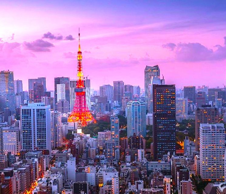 2-Days Private Tour Tokyo MT Fuji and Hakone With Guide - Destinations Covered