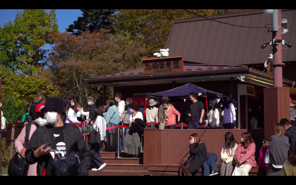 Mt. Fuji Sightseeing: Full Day Private Tour English Guide - The Sum Up