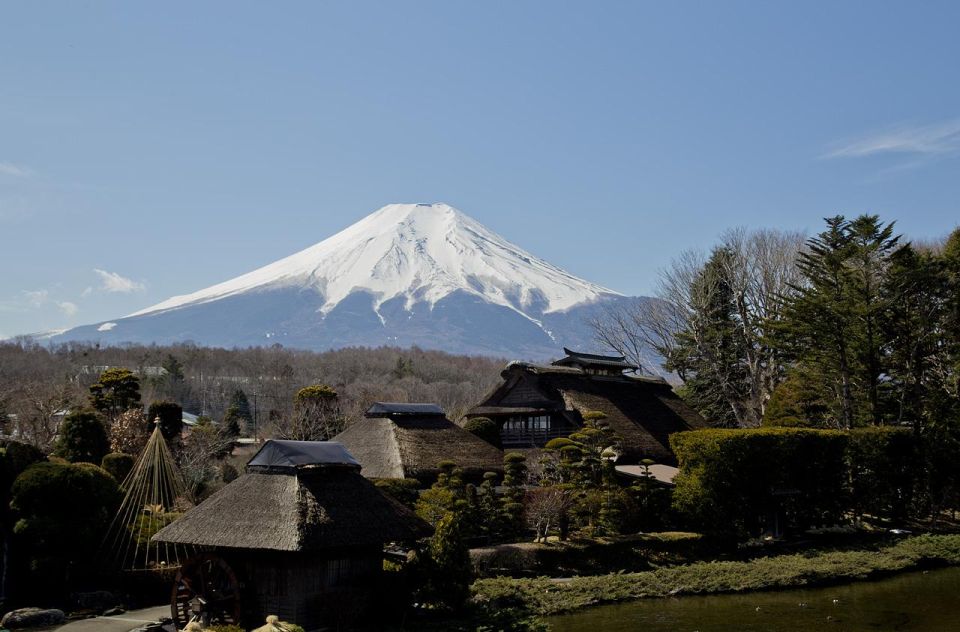 1 Day Private Tour Mt.Fuji & Hakone English Speaking Driver - Cancellation Policy