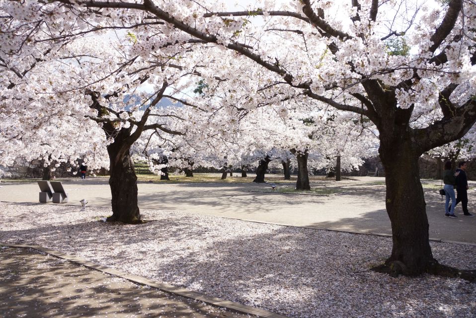 Nagano: 1-Day Snow Monkey & Cherry Blossom Tour in Spring - Directions and Booking Information