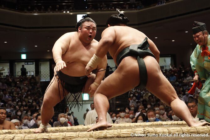 Tokyo Grand Sumo Tournament Viewing Tour