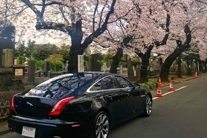 Tokyo Private Full-Day Landmark Tour, by Car, Custom Itinerary - Overview of Tokyo Private Full-Day Landmark Tour